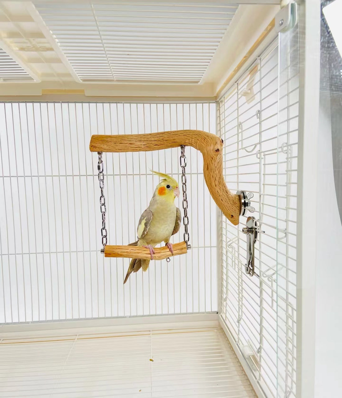 The Benefits of Using Wild Pear Wood Perche for Parrots