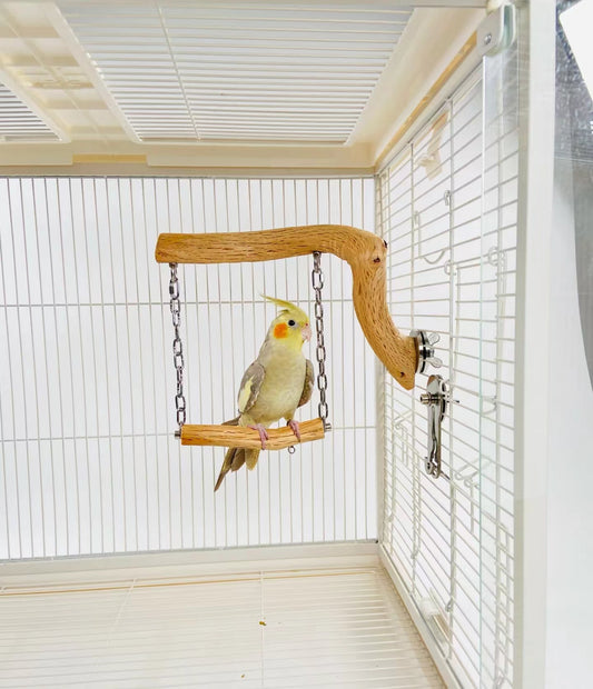 The Benefits of Using Wild Pear Wood Perche for Parrots